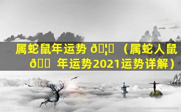 属蛇鼠年运势 🦍 （属蛇人鼠 🐠 年运势2021运势详解）